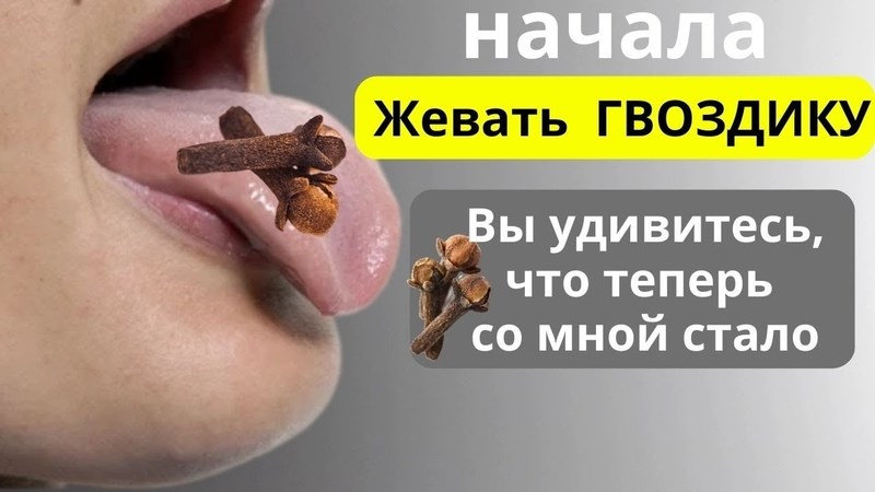 Какие болезни лечит сухая гвоздика?