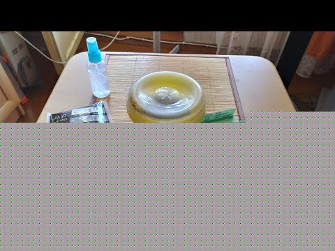 Сколько должен сохнуть табак?