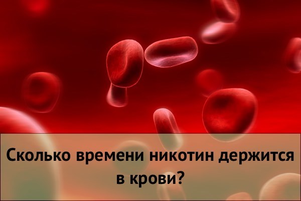 Сколько нужно не парить чтобы пройти тест на никотин?
