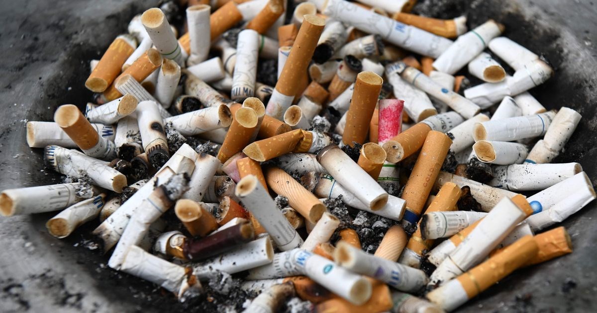 Как называется палочка для курения сигарет?