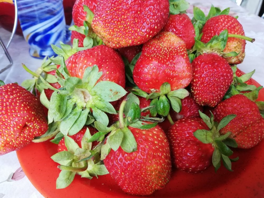 Какая клубника слаще?