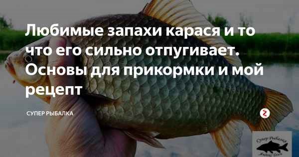 Какая рыба любит запах аниса?