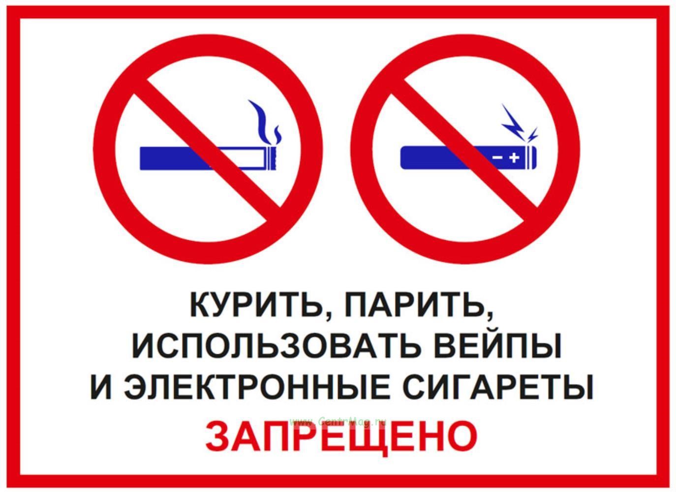 Можно ли парить в комнате с животными?