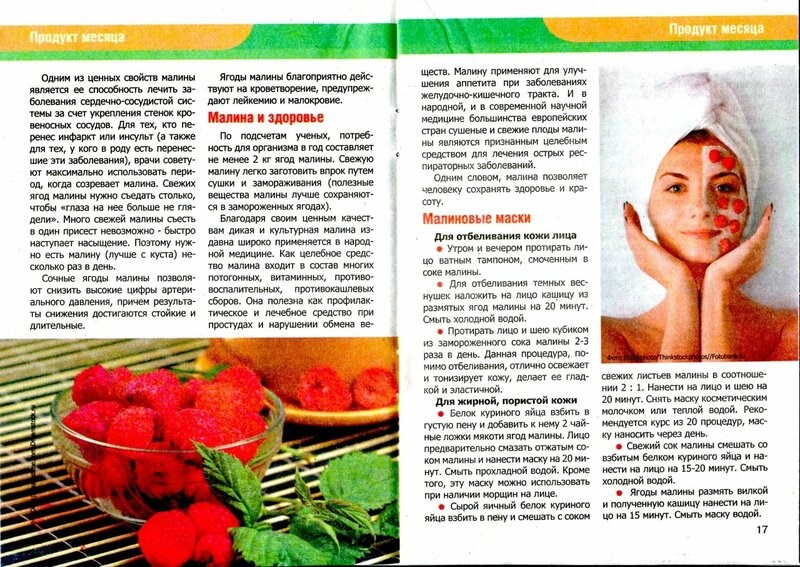 Можно ли кушать малину каждый день?